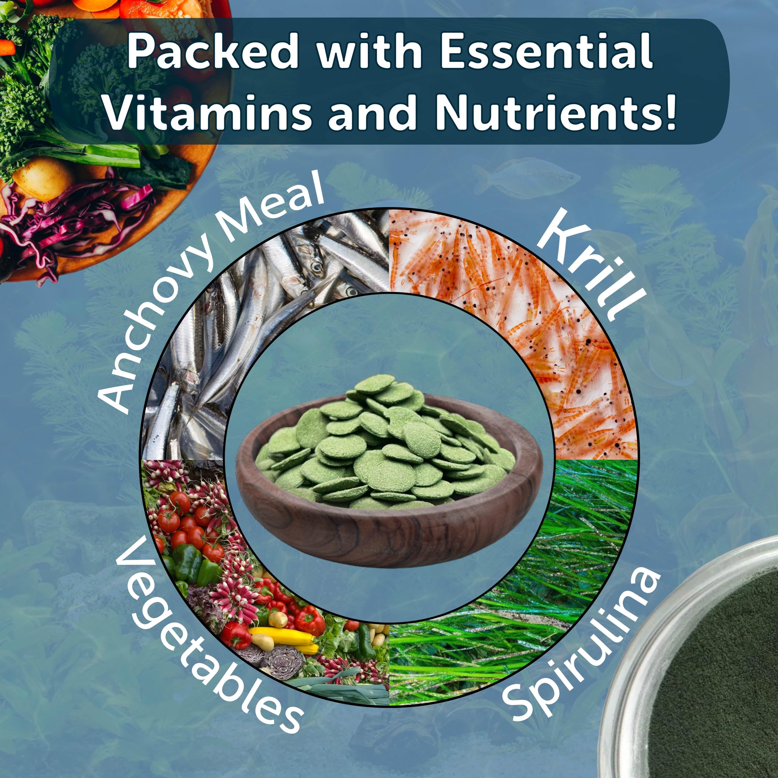 Aquatic Foods Inc. sinking wafers ideal for bottom-feeder feeding.