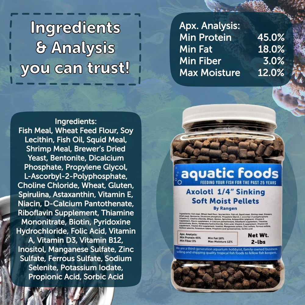 Axolotl feeding time with Aquatic Foods Inc pellets supports varied tank diets.