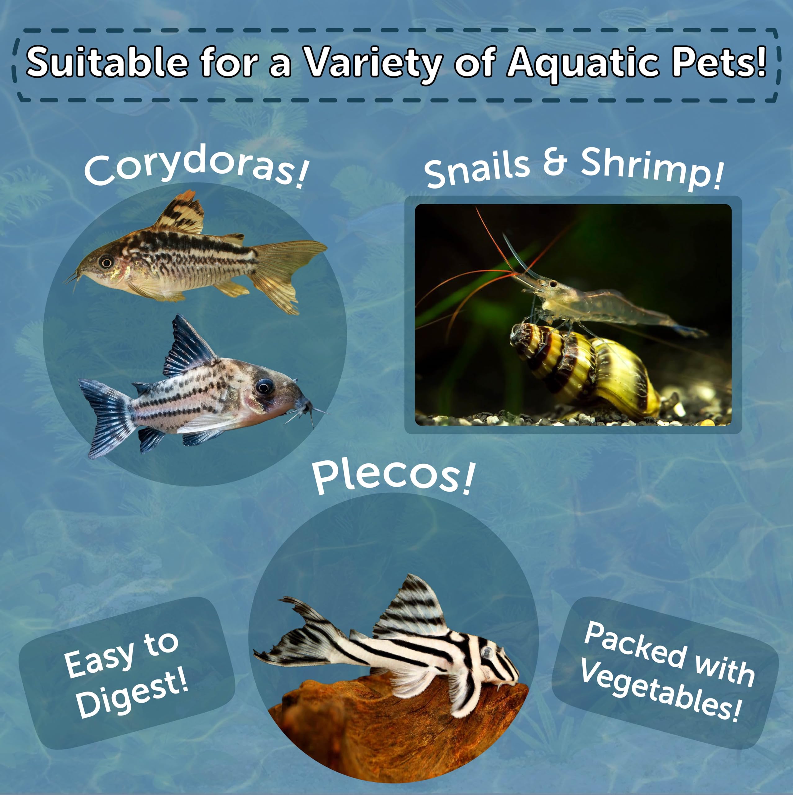 Aquatic Foods Inc. krill and plankton ingredients for a protein-rich diet.