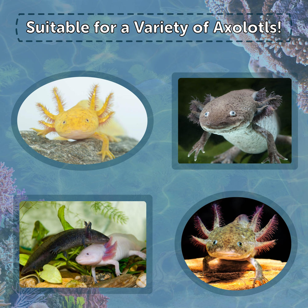 Aquatic Foods Inc soft moist sinking axolotl pellets ideal for bottom-dwelling species.