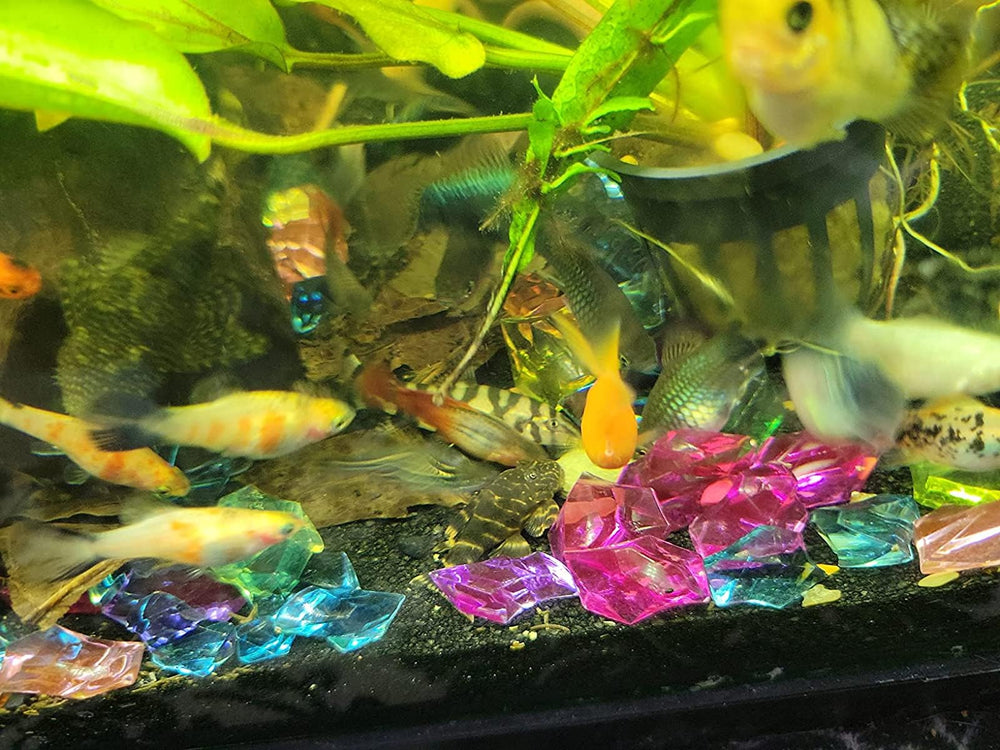 Aquatic Foods Inc. tropical-fish-disk for all species; non-clouding water.