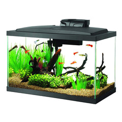 Aqueon 10-gallon starter kit hood with LED lighting enhances aquarium ambiance