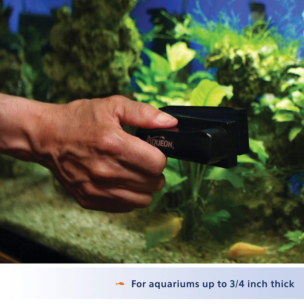 Aqueon Algae Scraper available in three sizes for tanks.