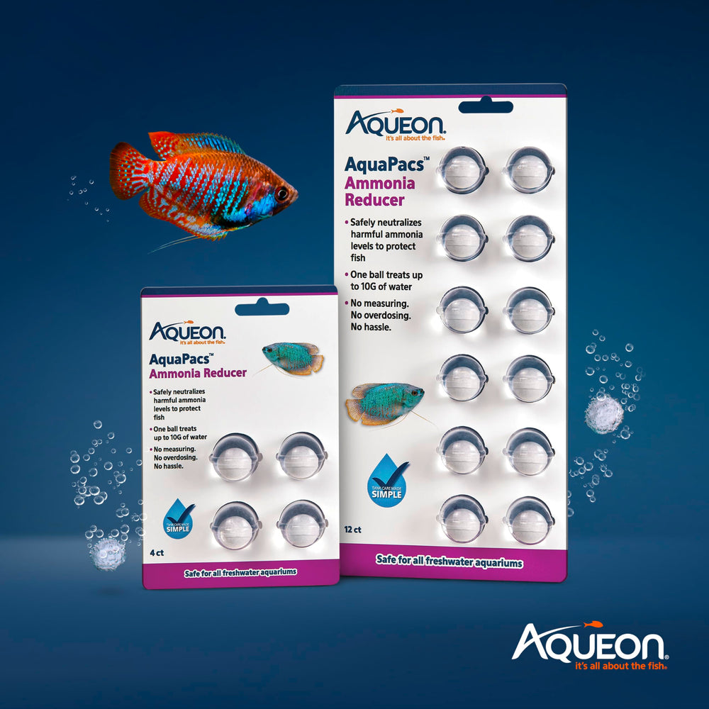 Aqueon AquaPacs ball placed in 10-gallon water.