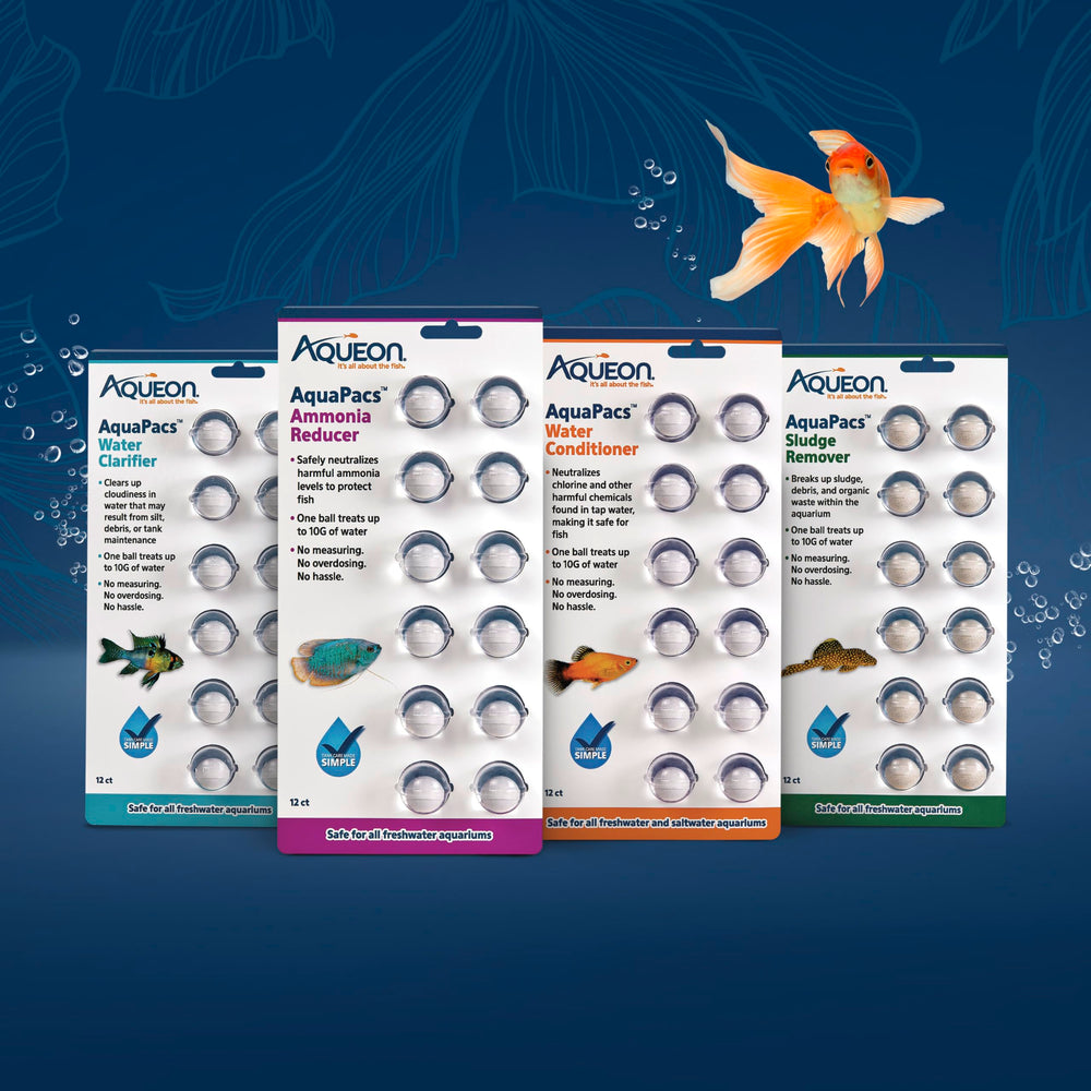 Healthy aquarium after use with thriving fish featuring Aqueon AquaPacs.