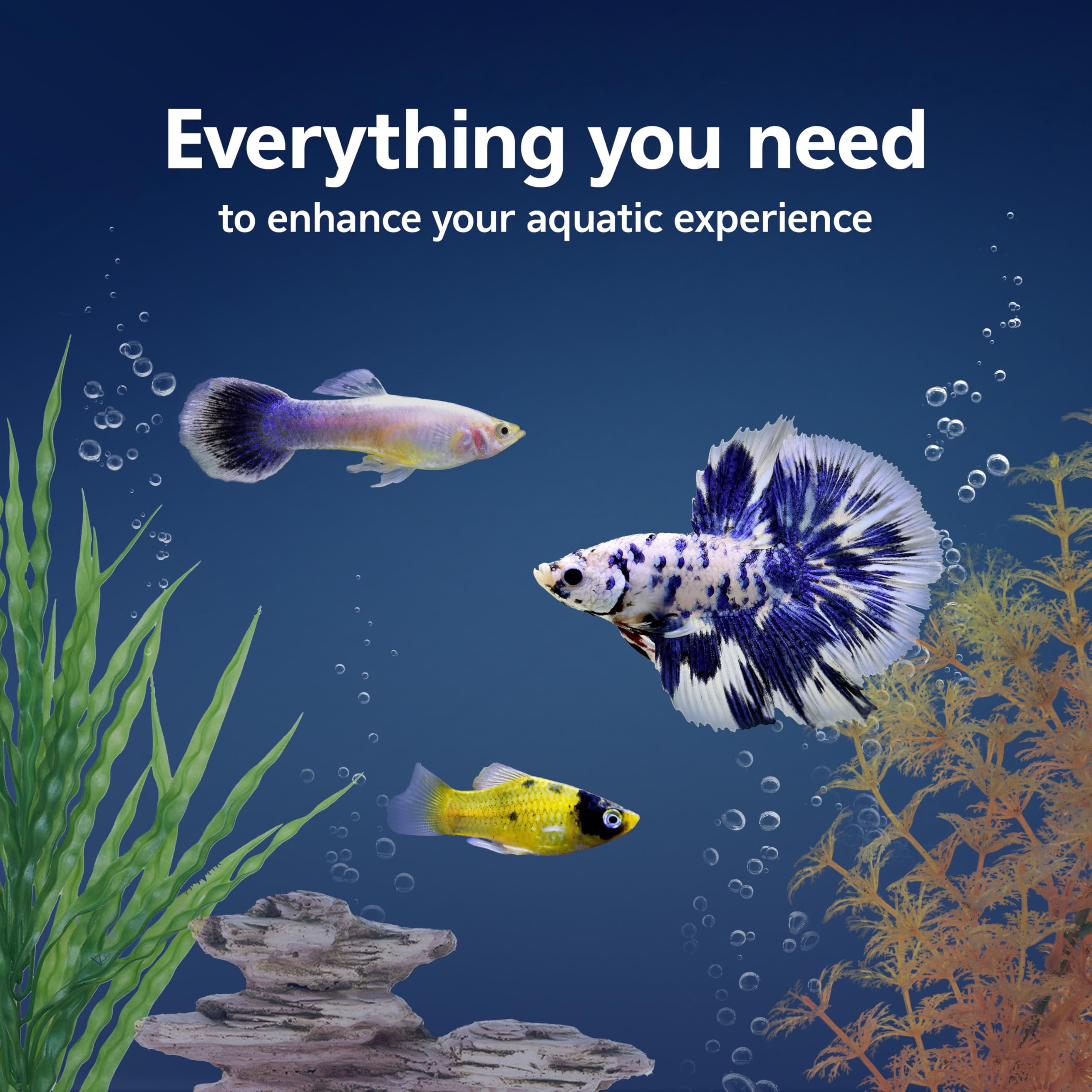 Aqueon Starter Kit LED lighting enhances tank visibility for color and activity