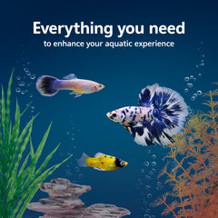 Aqueon Starter Kit LED lighting enhances tank visibility for color and activity