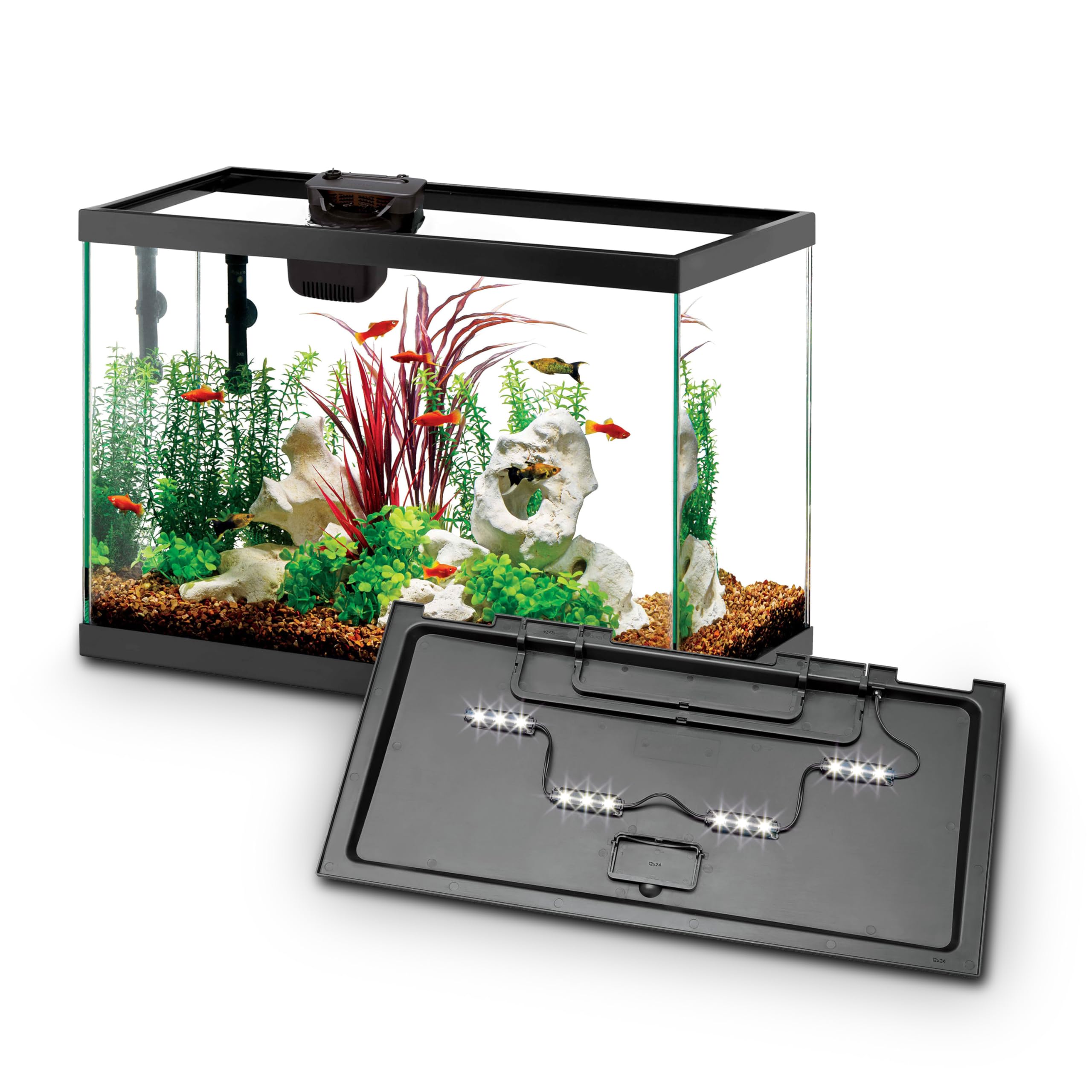 Aqueon Starter Kit with SmartClean filtration keeps water clean and easy to maintain