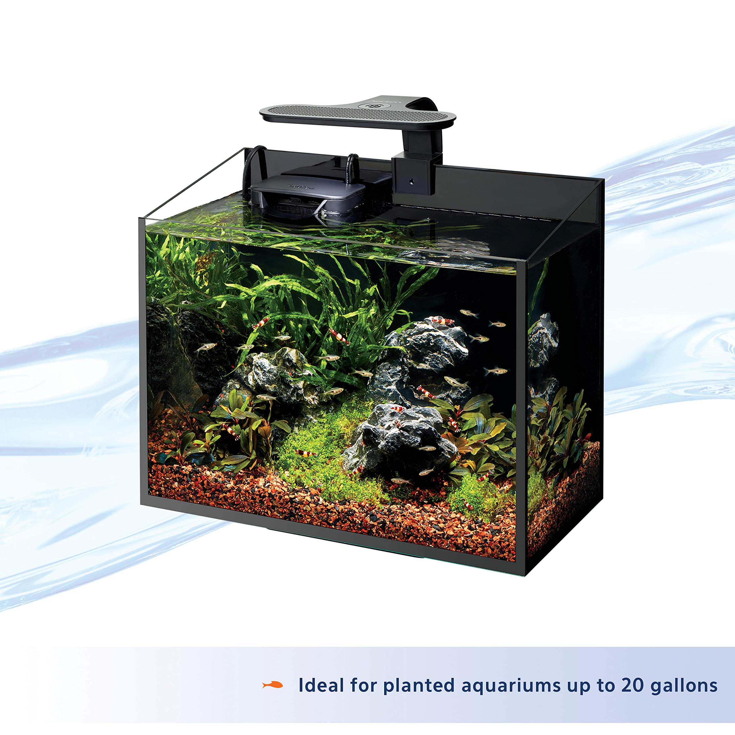 Aqueon Clip-On LED Light blue and white LEDs illuminate the tank