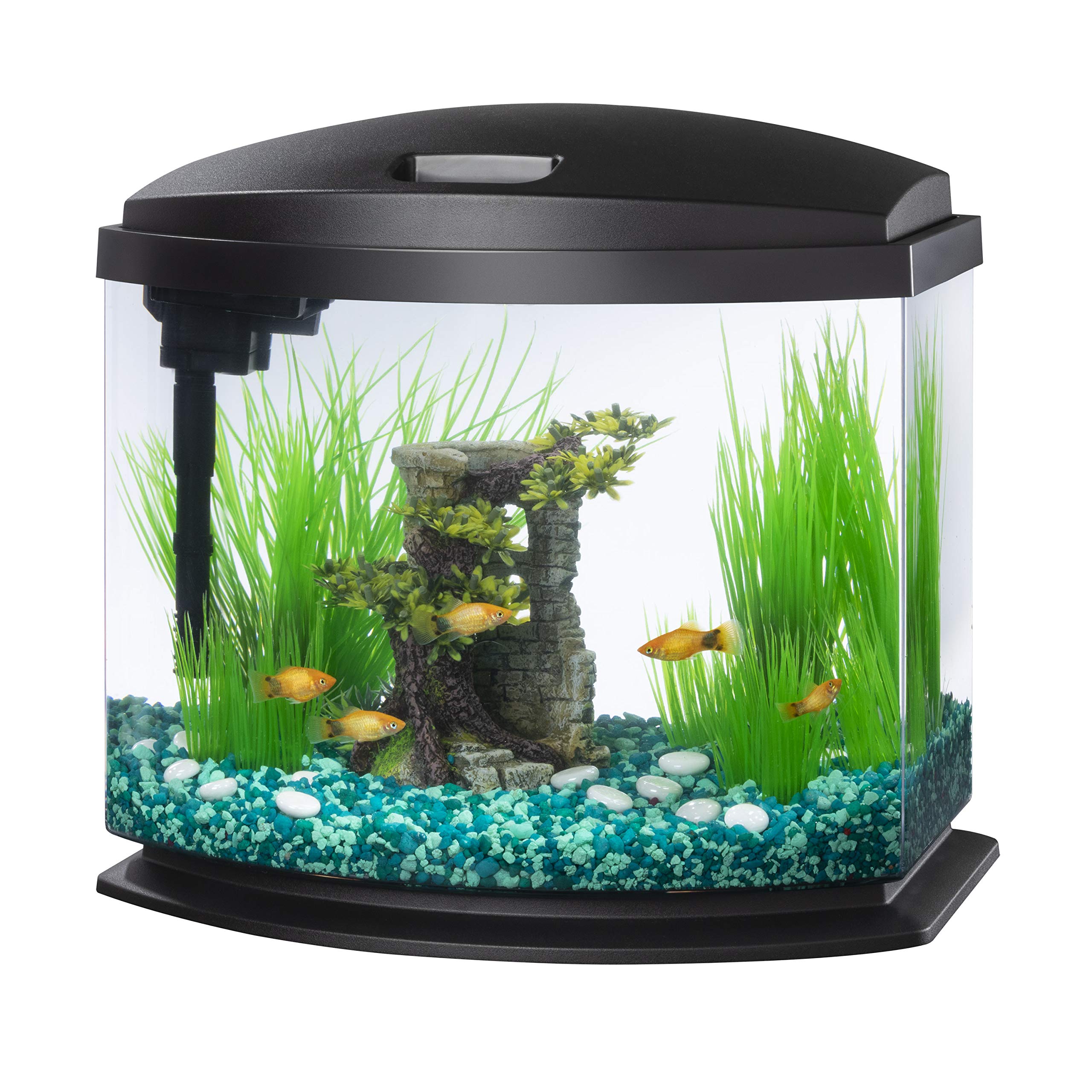 Aqueon MiniBow 5gal tank with clear acrylic viewing for compact spaces.
