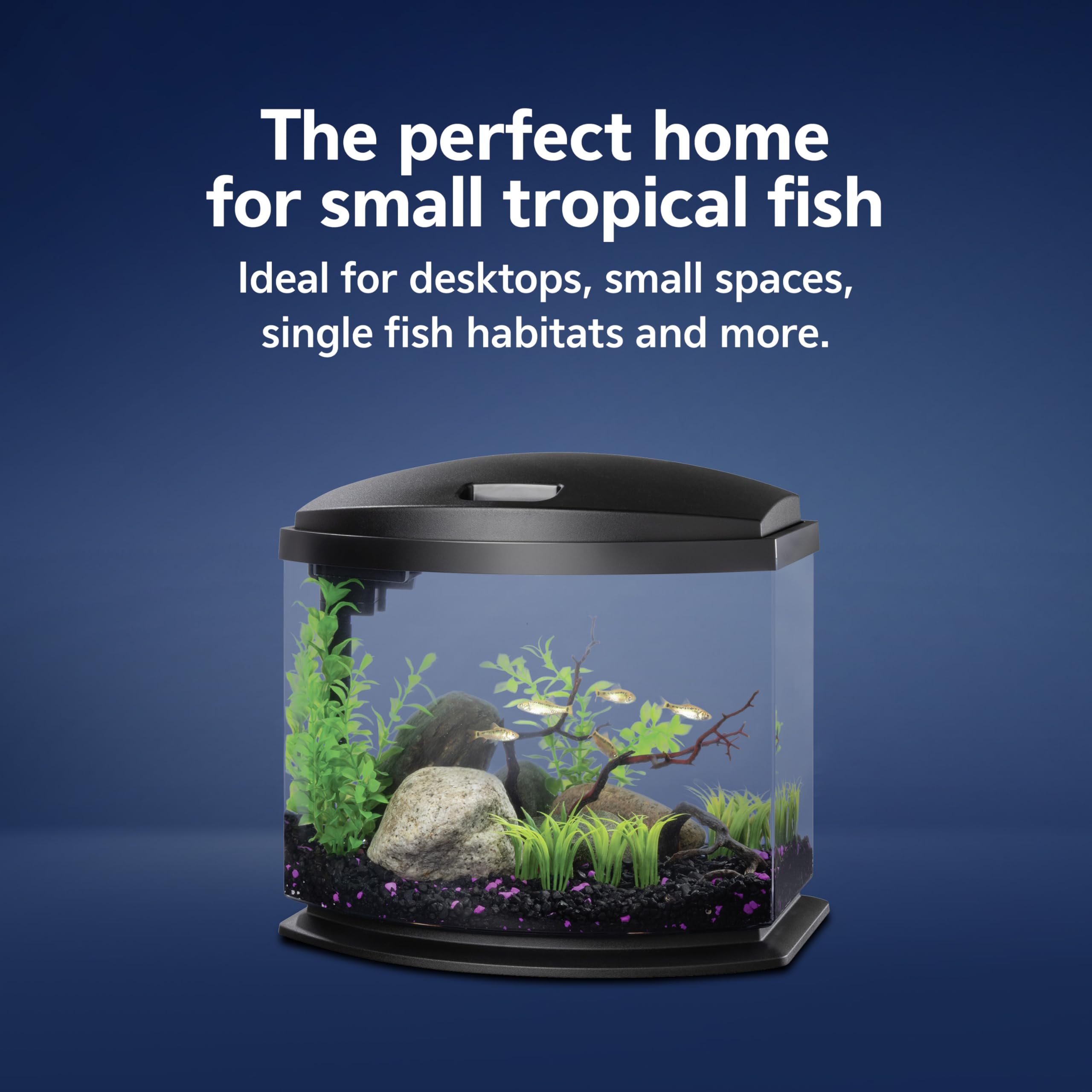 Aqueon MiniBow acrylic construction delivers clarity and durability.