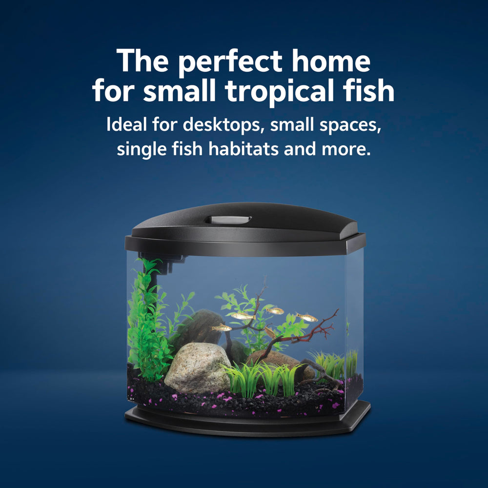 Aqueon MiniBow acrylic construction delivers clarity and durability.