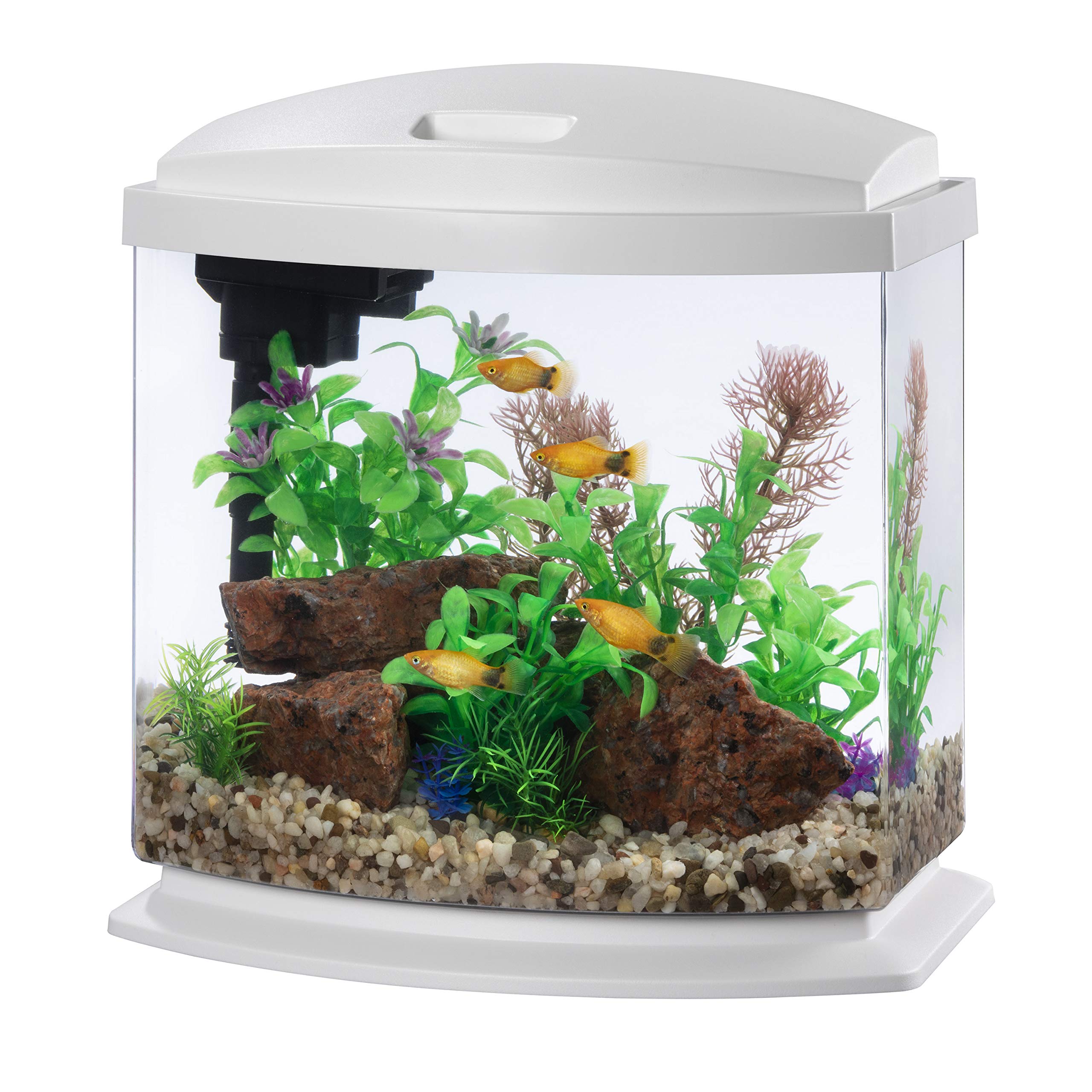 Aqueon MiniBow aquarium with white hood offers crystal-clear viewing in a compact setup.