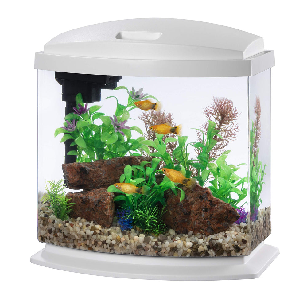 Aqueon MiniBow aquarium with white hood offers crystal-clear viewing in a compact setup.