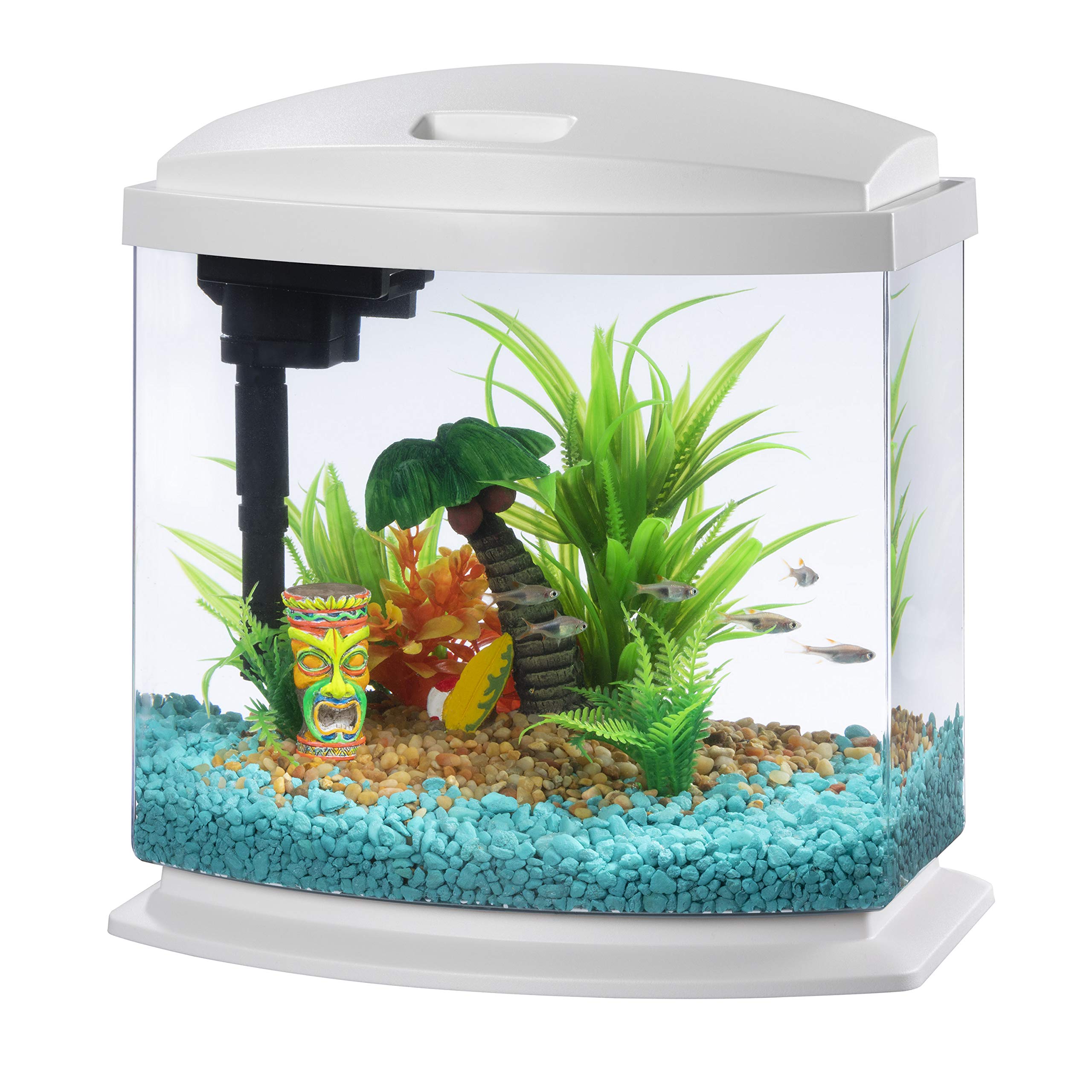 Aqueon MiniBow 2.5 gallon crystal-clear acrylic vessel provides a clean focal point for desk viewing.