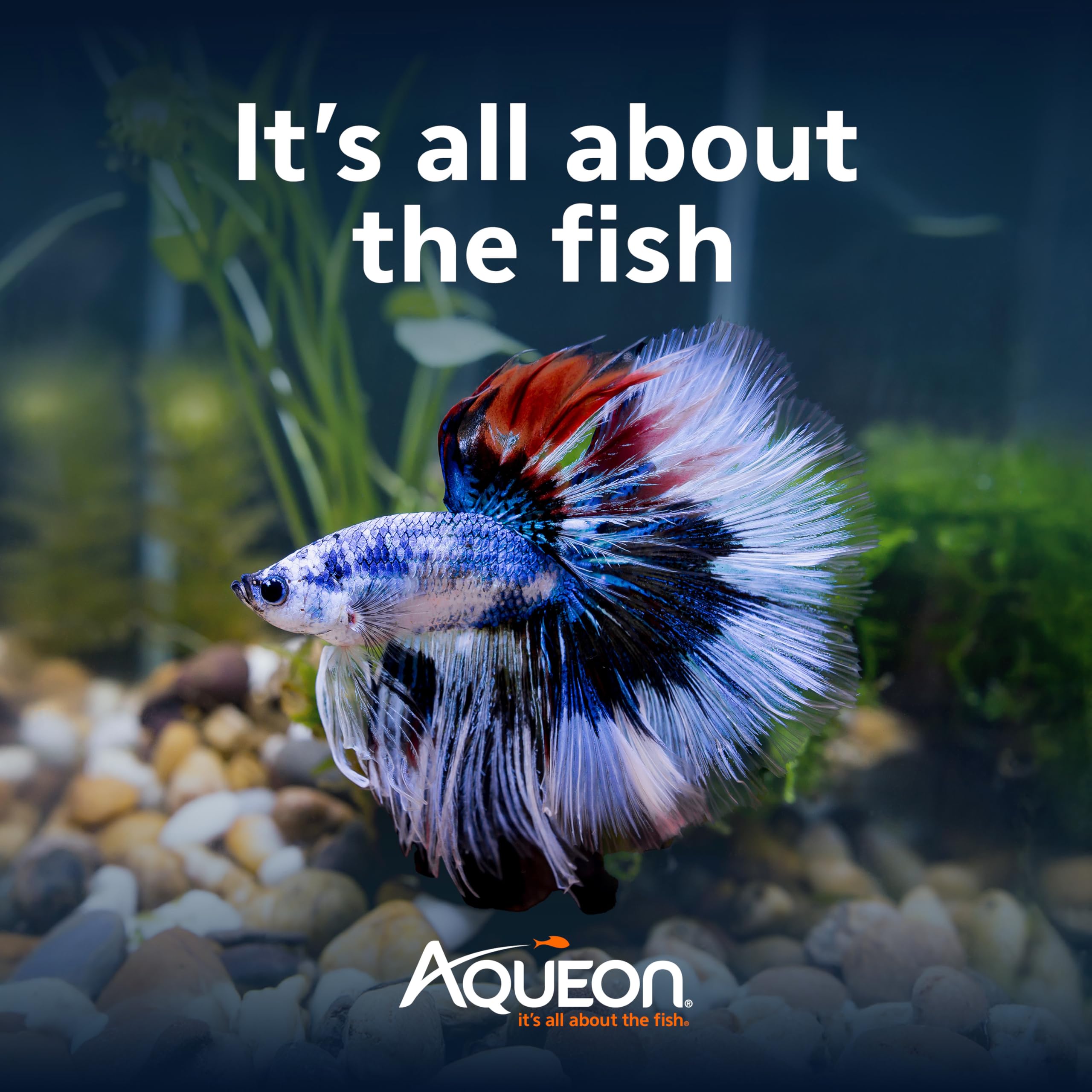 Aqueon MiniBow setup shown in a compact room for bedrooms or offices.
