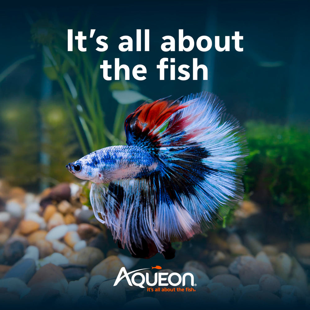 Aqueon MiniBow setup shown in a compact room for bedrooms or offices.