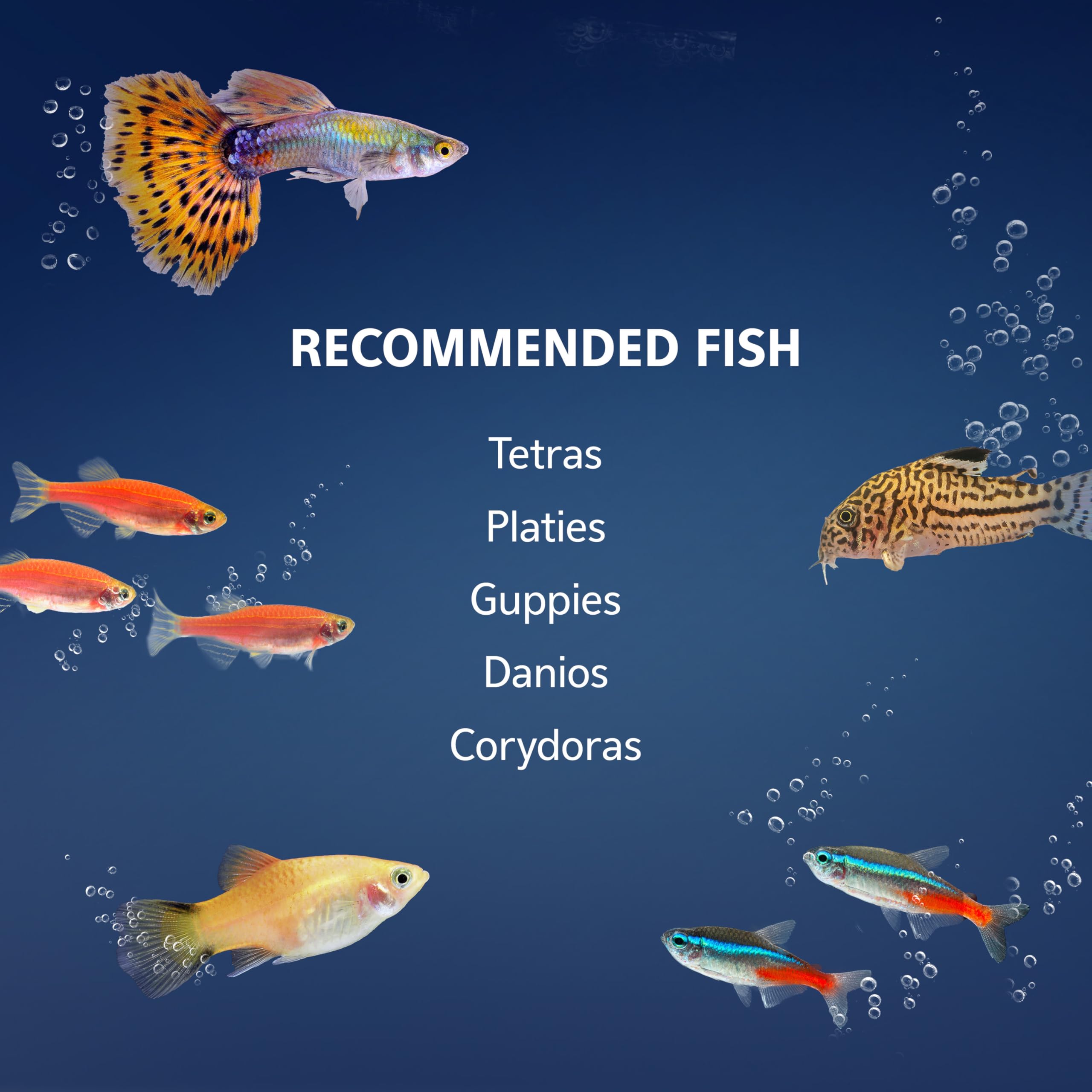 Aqueon premium fish food supports balanced nutrition for small community fish