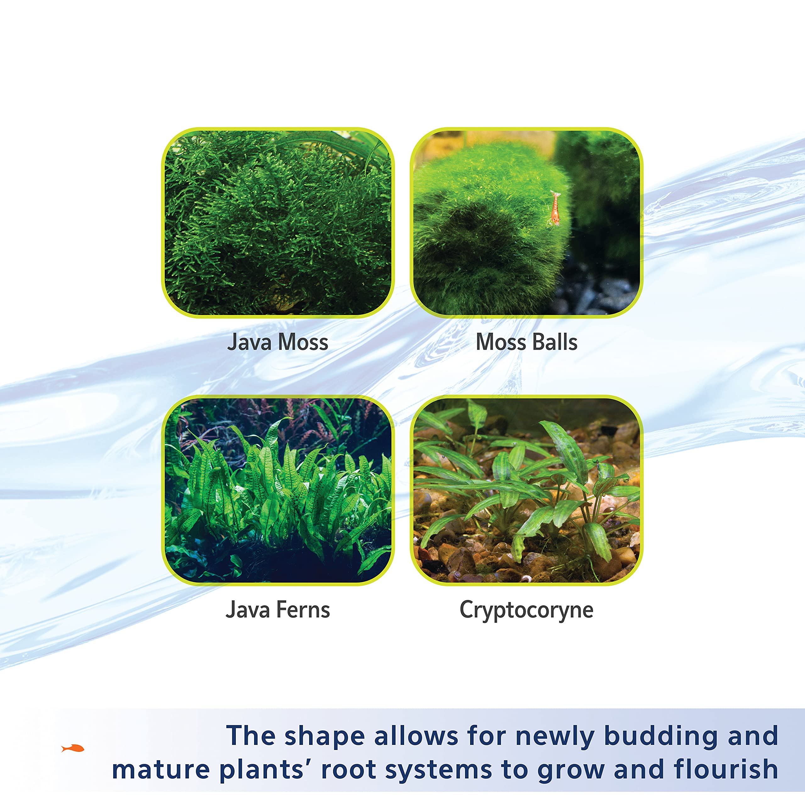 Close-up of root growth supported by Aqueon substrate.