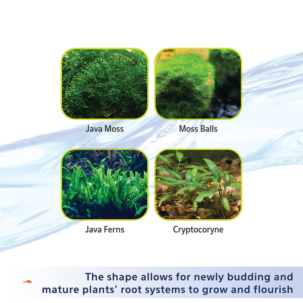 Close-up of root growth supported by Aqueon substrate.