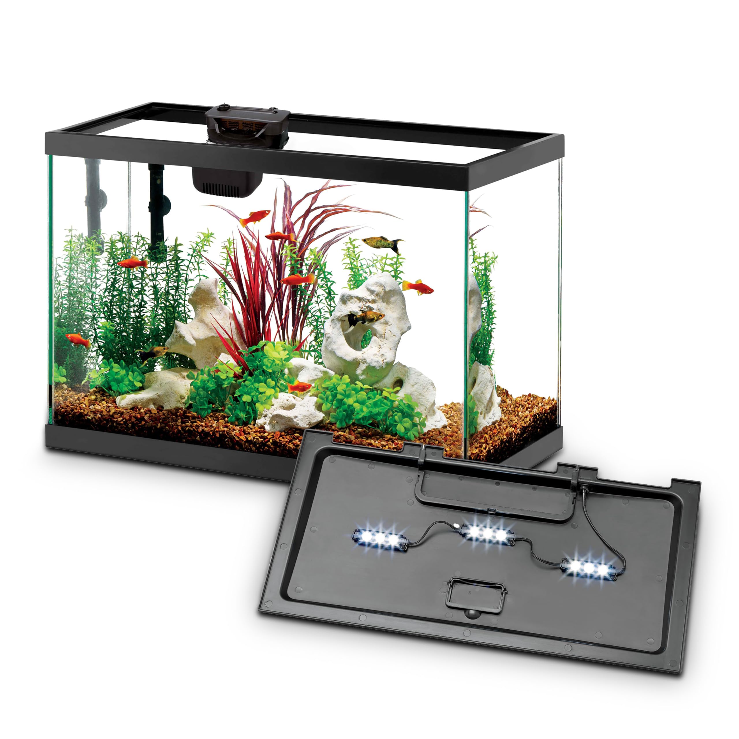 Aqueon starter kit glass aquarium 10-gallon with clear viewing for small fish