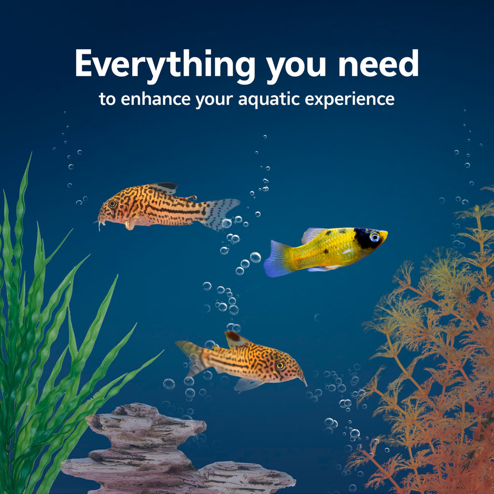Aqueon starter kit low-profile hood with LED provides bright lighting