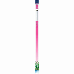 Aqueon Colormax 24-inch T8 lamp enhances aquarium colors for tropical fish.