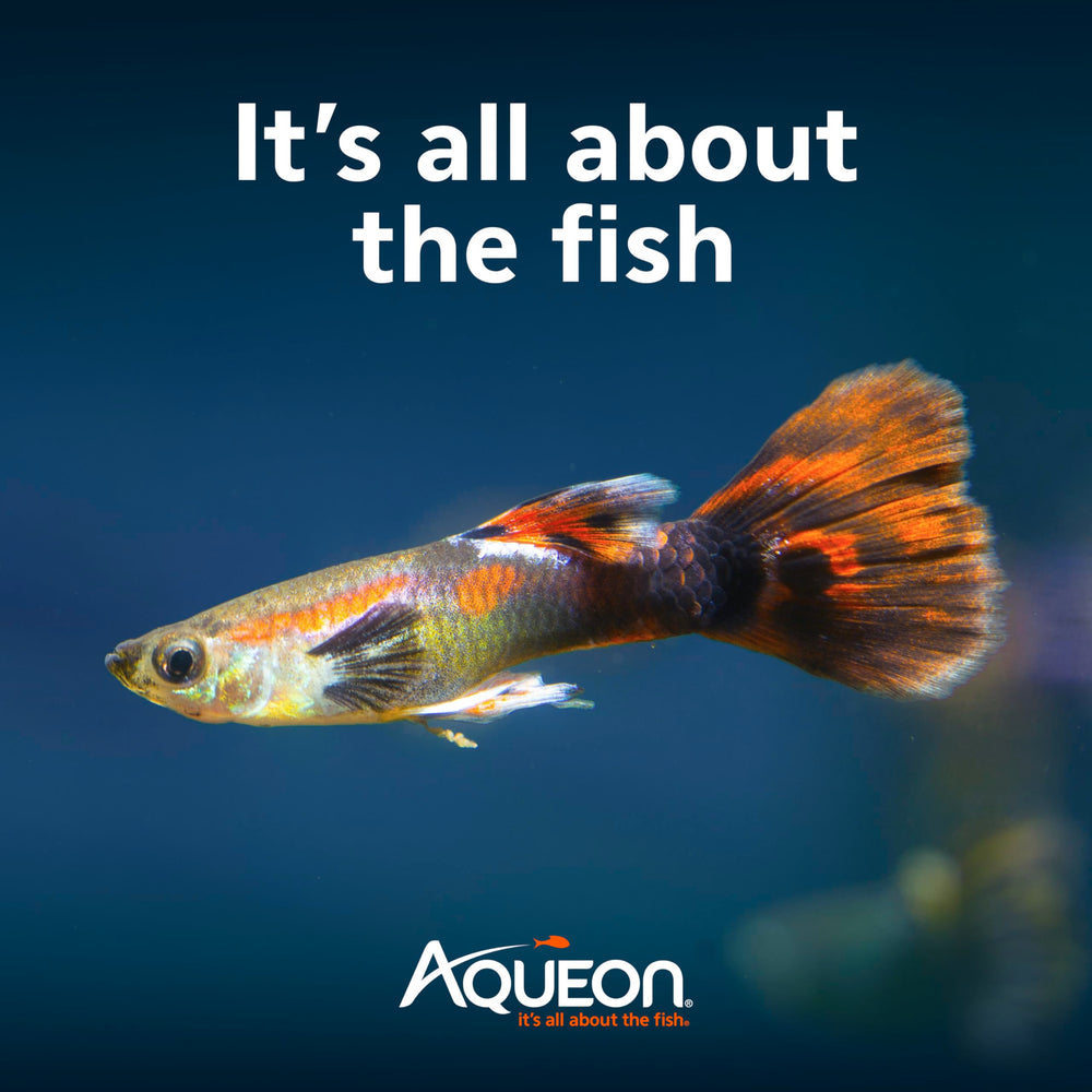 Aqueon water conditioner prepares tap water for safe introduction