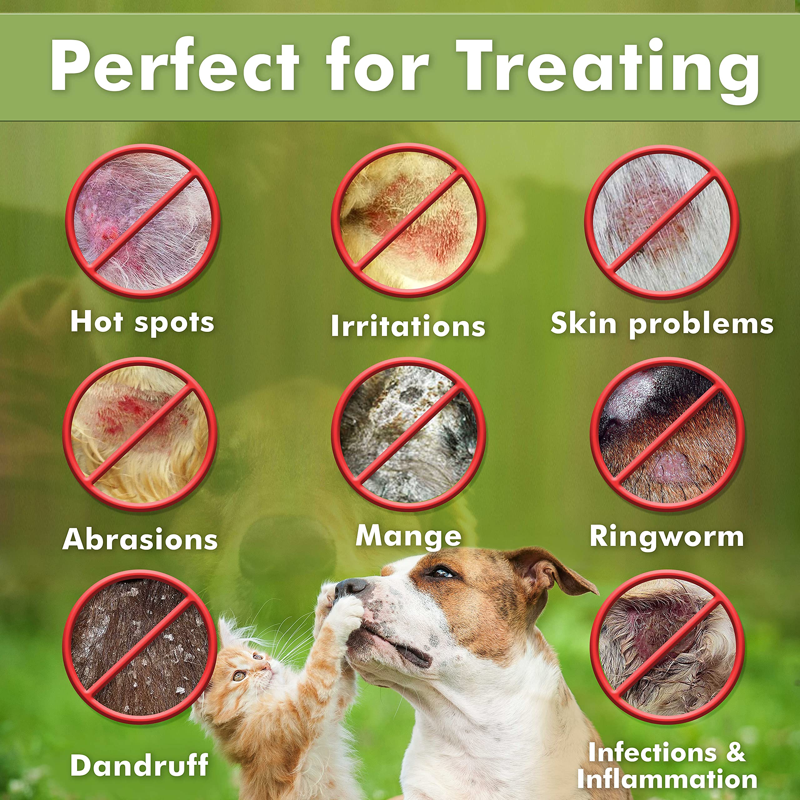 Arava follicle-enrichment focus illustrates shinier, healthier coat after washing