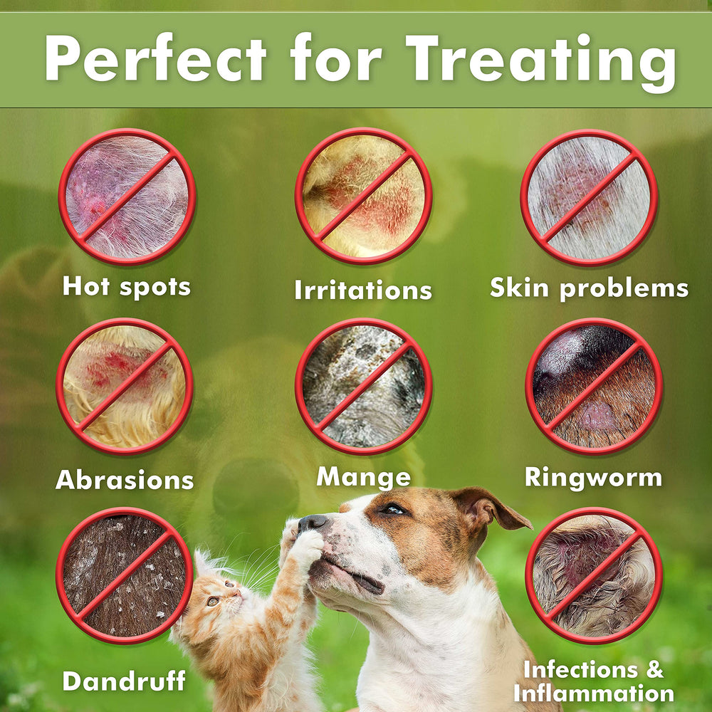 Arava follicle-enrichment focus illustrates shinier, healthier coat after washing