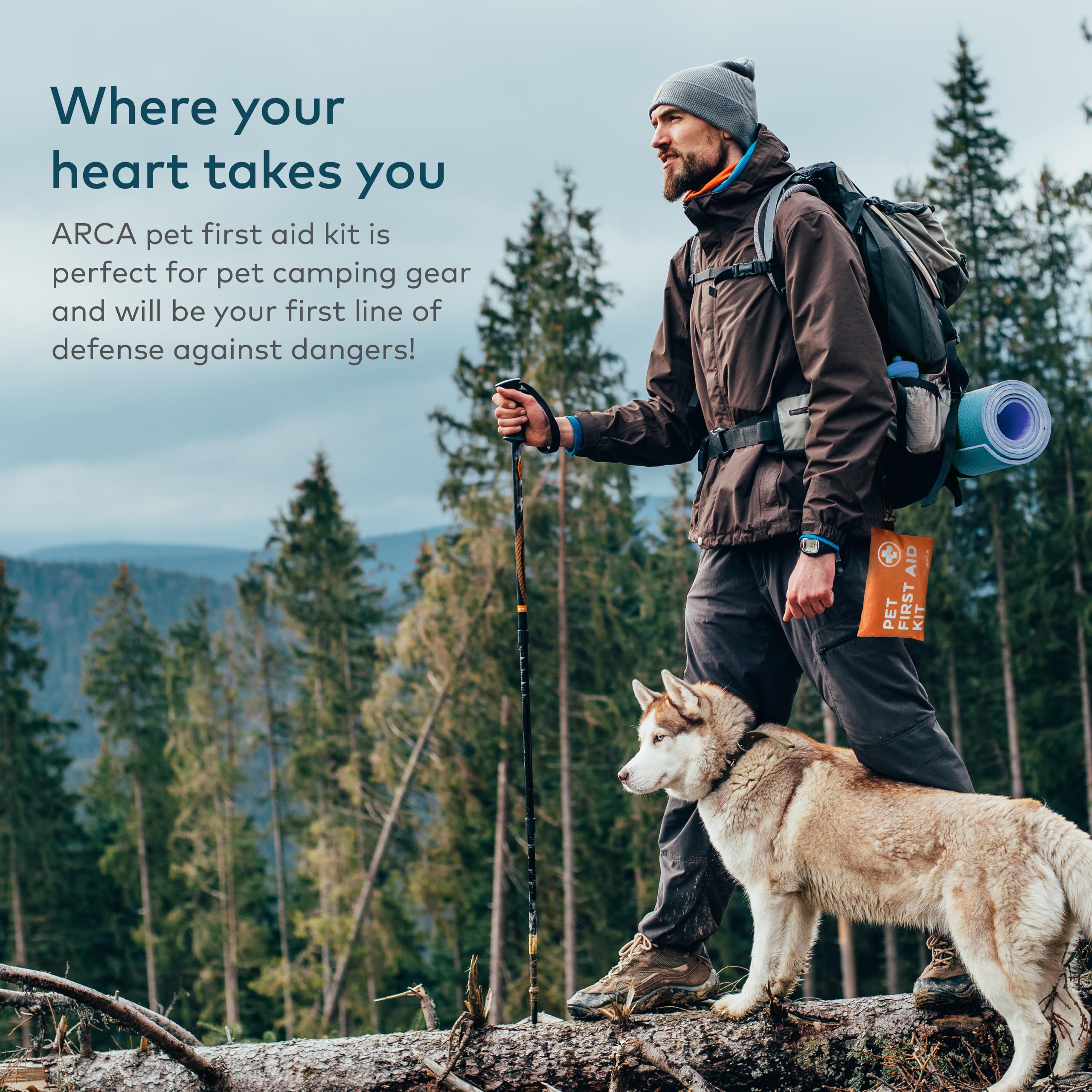 ARCA PET includes gloves, antiseptic, tweezers, scissors for quick response.