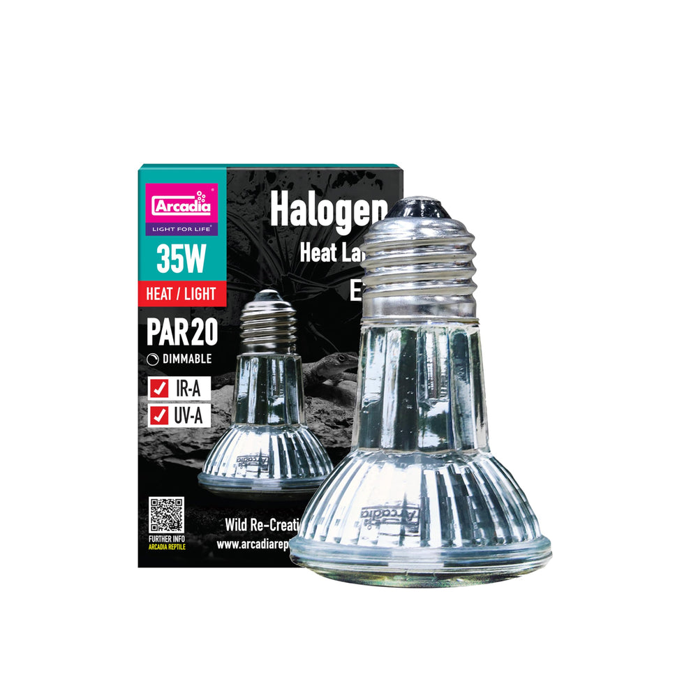 Arcadia 35W halogen heat lamp focused basking spot for reptiles