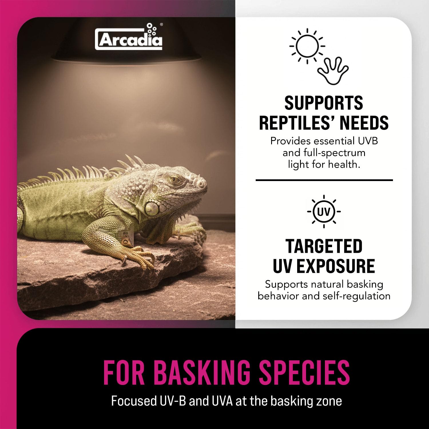 Arcadia D3 EVO 100W base-fit in standard fixtures for easy setup.