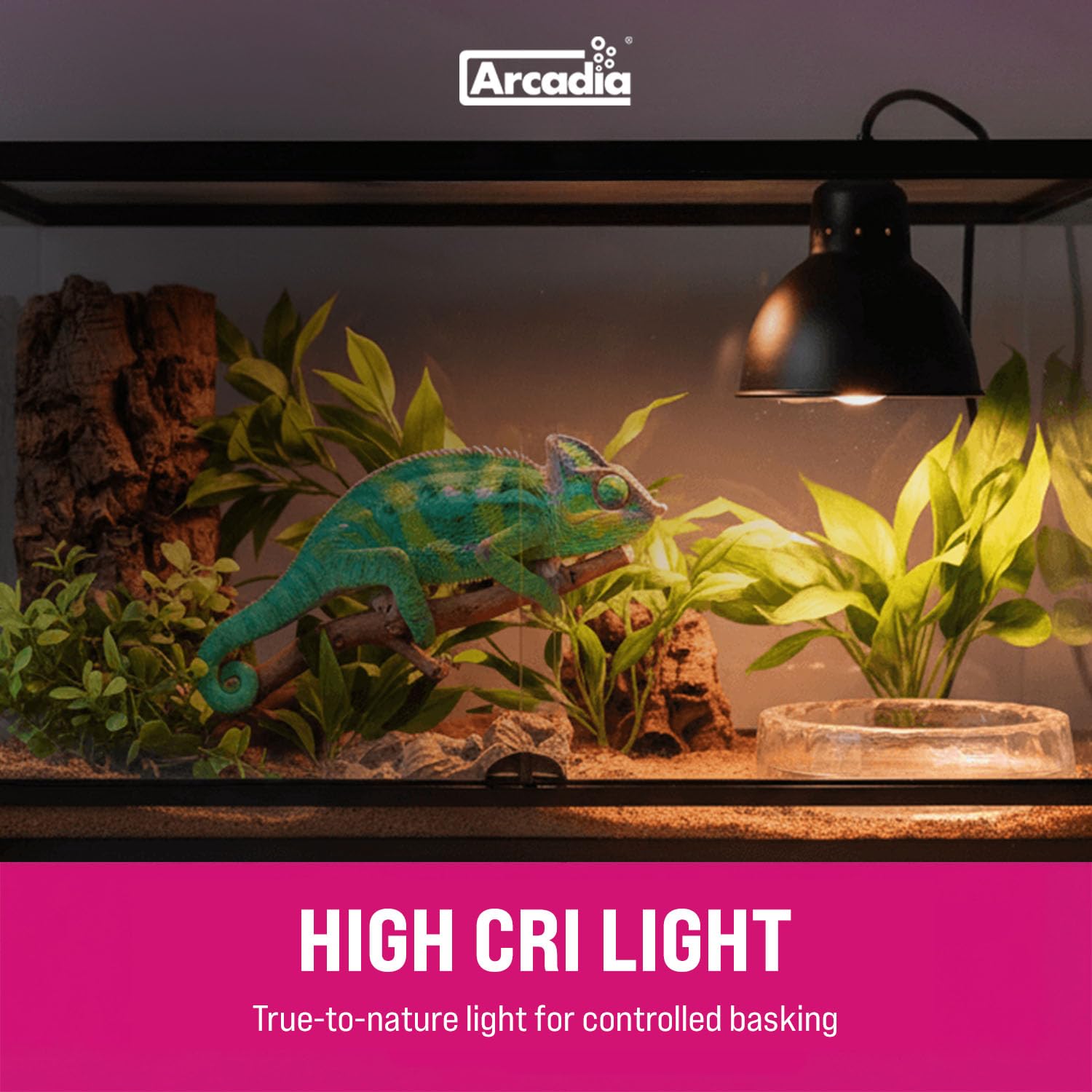 Arcadia D3 EVO 100W UVB output in operation emphasizes reliable long-lasting heat.