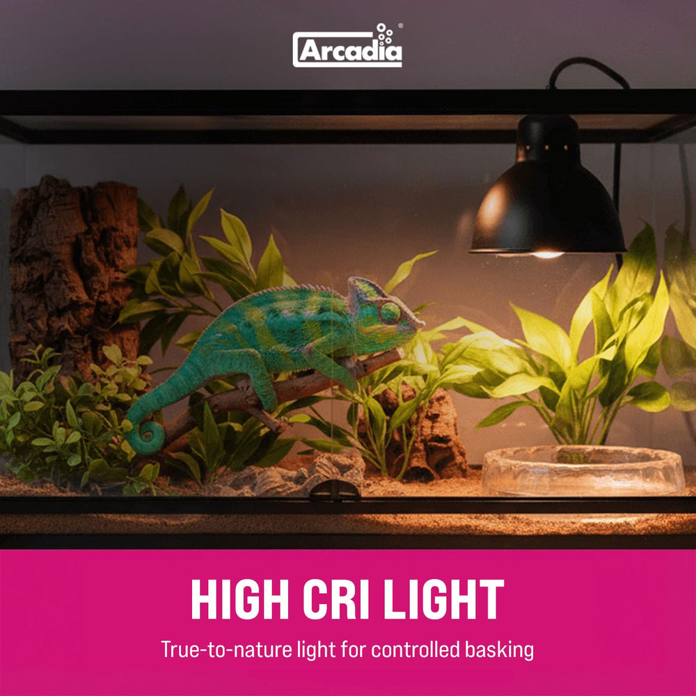 Arcadia D3 EVO 100W UVB output in operation emphasizes reliable long-lasting heat.