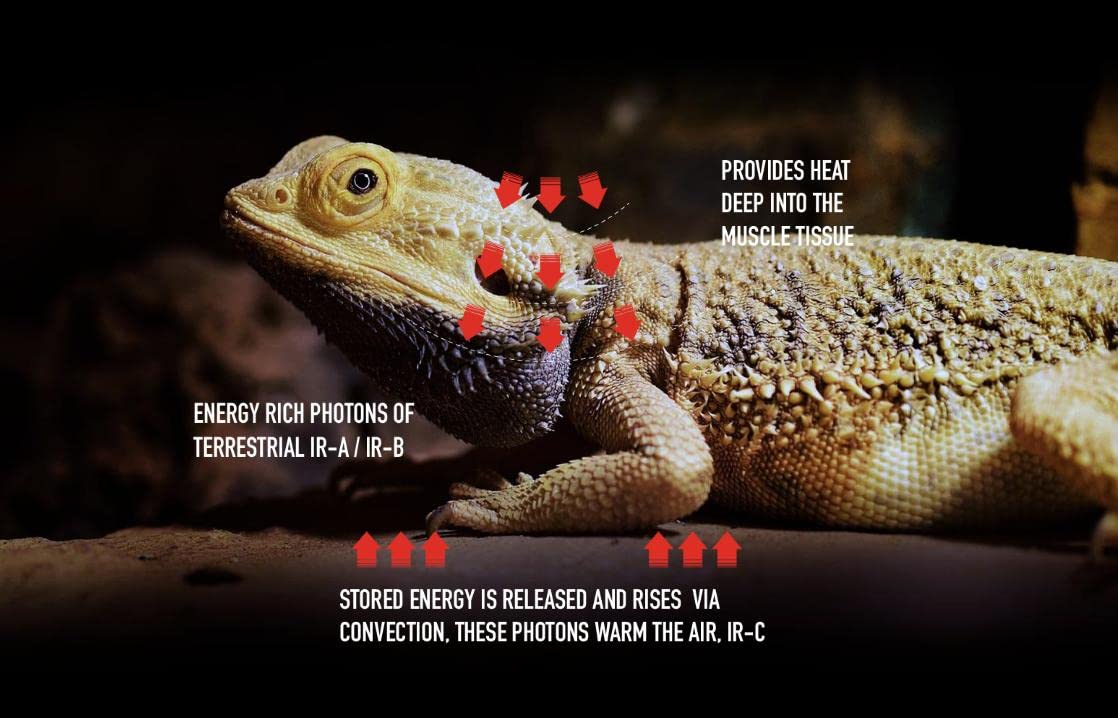 Arcadia Deep Heat Emitter 50W in enclosure illustrates deep warmth for reptiles