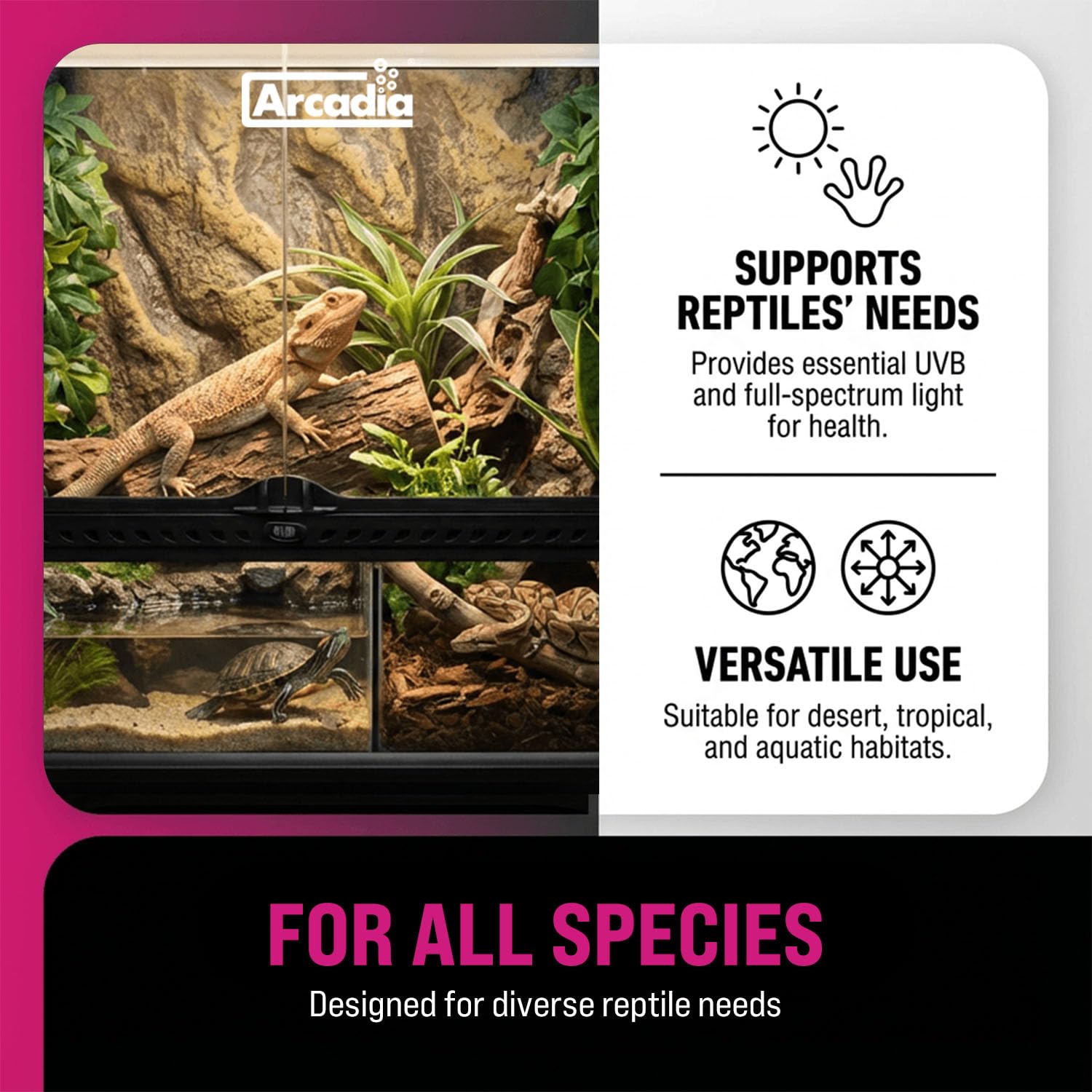 Arcadia T5 UVB 36 inch bulb delivers broad UVB coverage across enclosures.