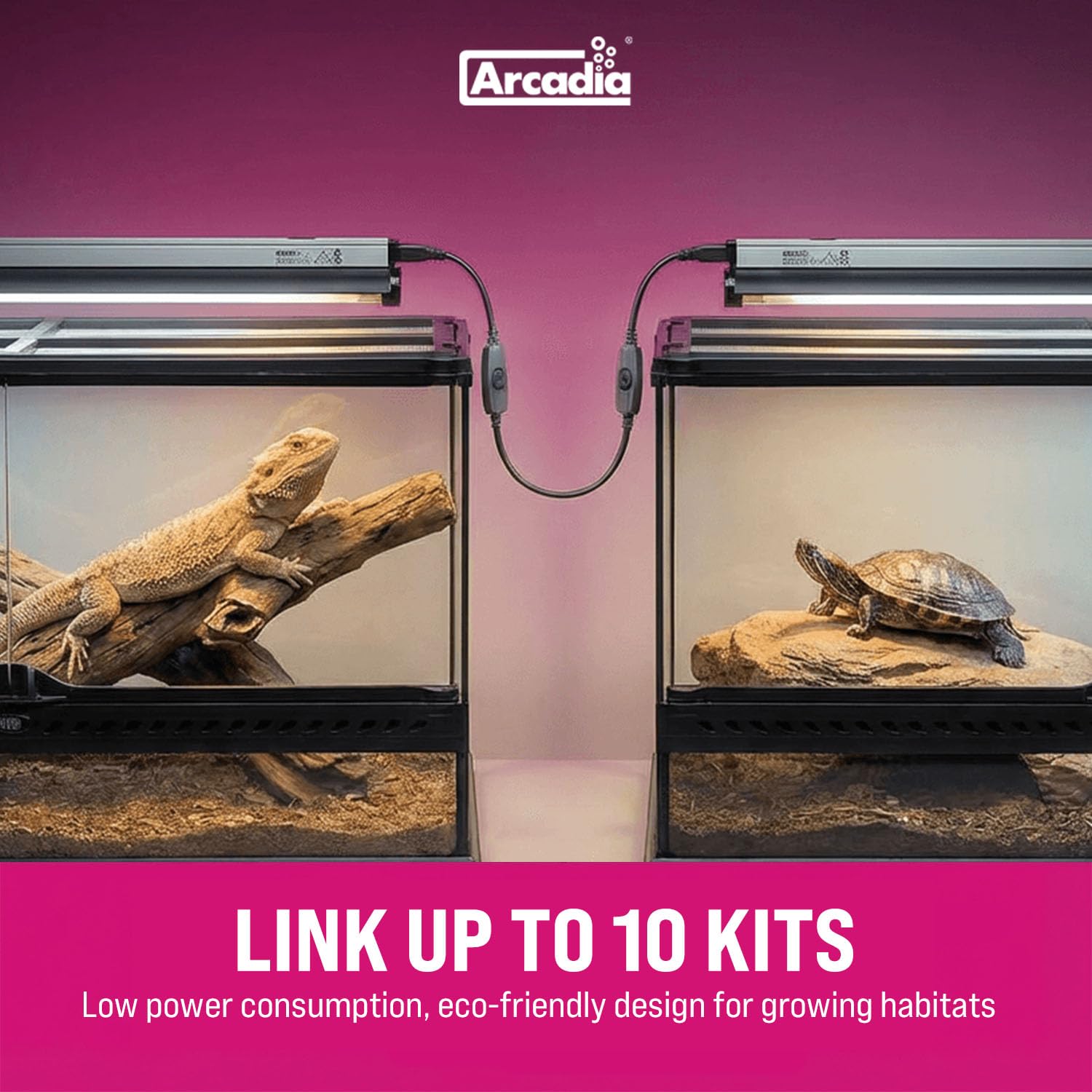 Arcadia T5 UVB kit supports reliable, long-lasting reptile lighting in busy habitats.