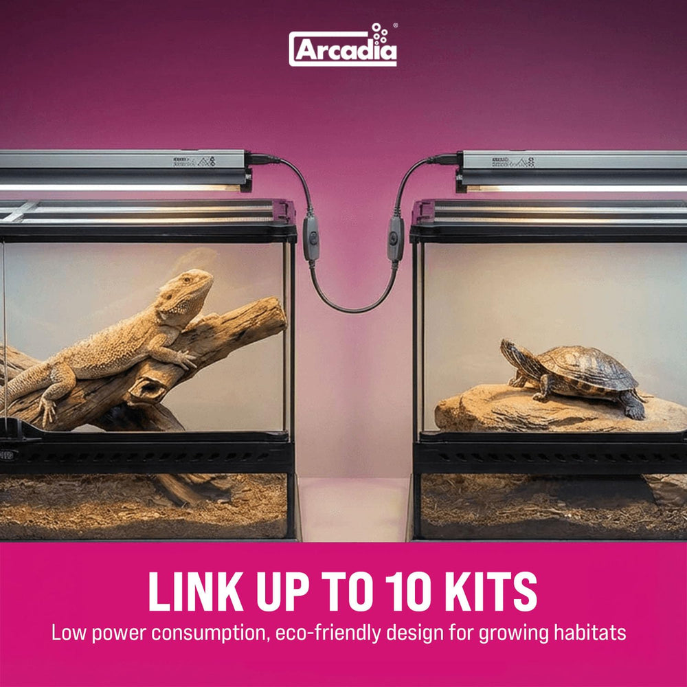 Arcadia T5 UVB kit supports reliable, long-lasting reptile lighting in busy habitats.