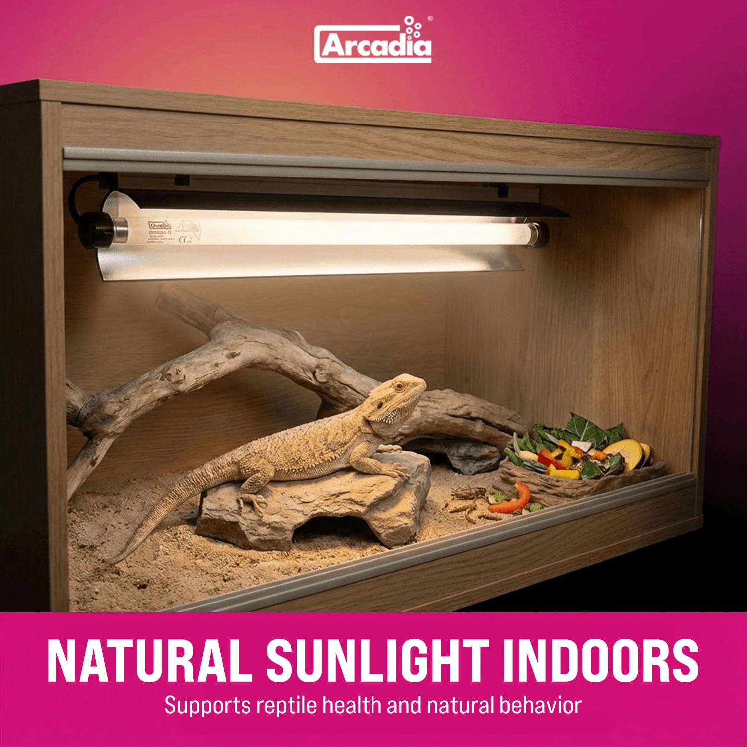 Arcadia T5 UVB curved reflector directs light to the basking area.