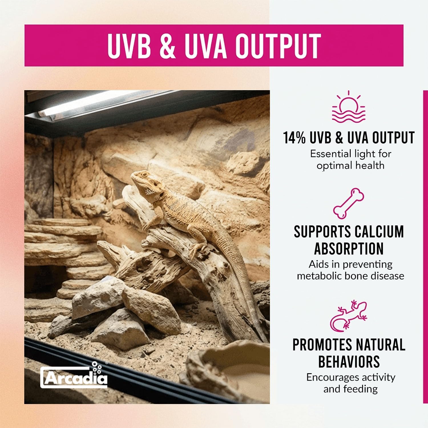 Arcadia T5 UVB kit ideal for dragons turtles and desert reptiles.
