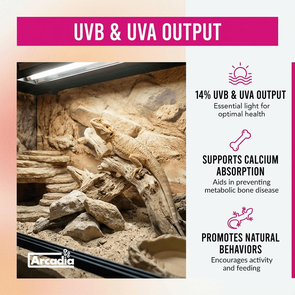 Arcadia T5 UVB kit ideal for dragons turtles and desert reptiles.