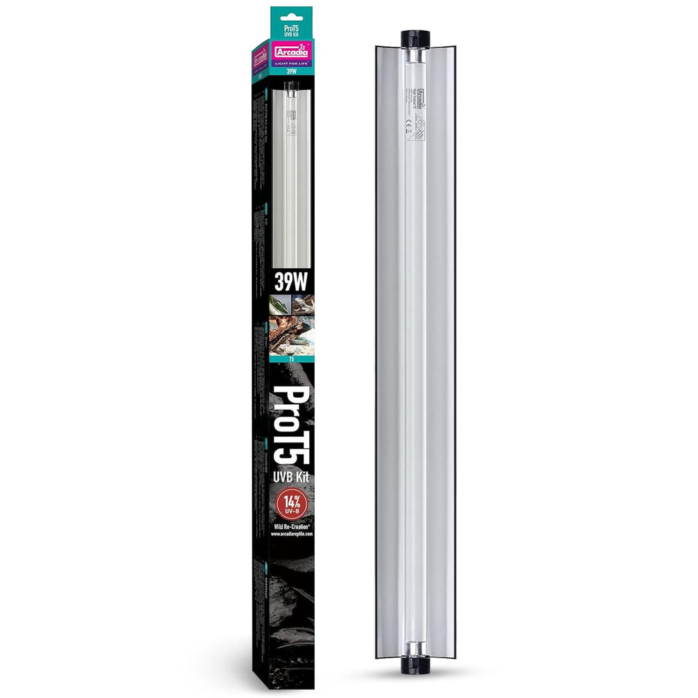 Arcadia T5 UVB light kit reflector directs UVB to the basking zone.