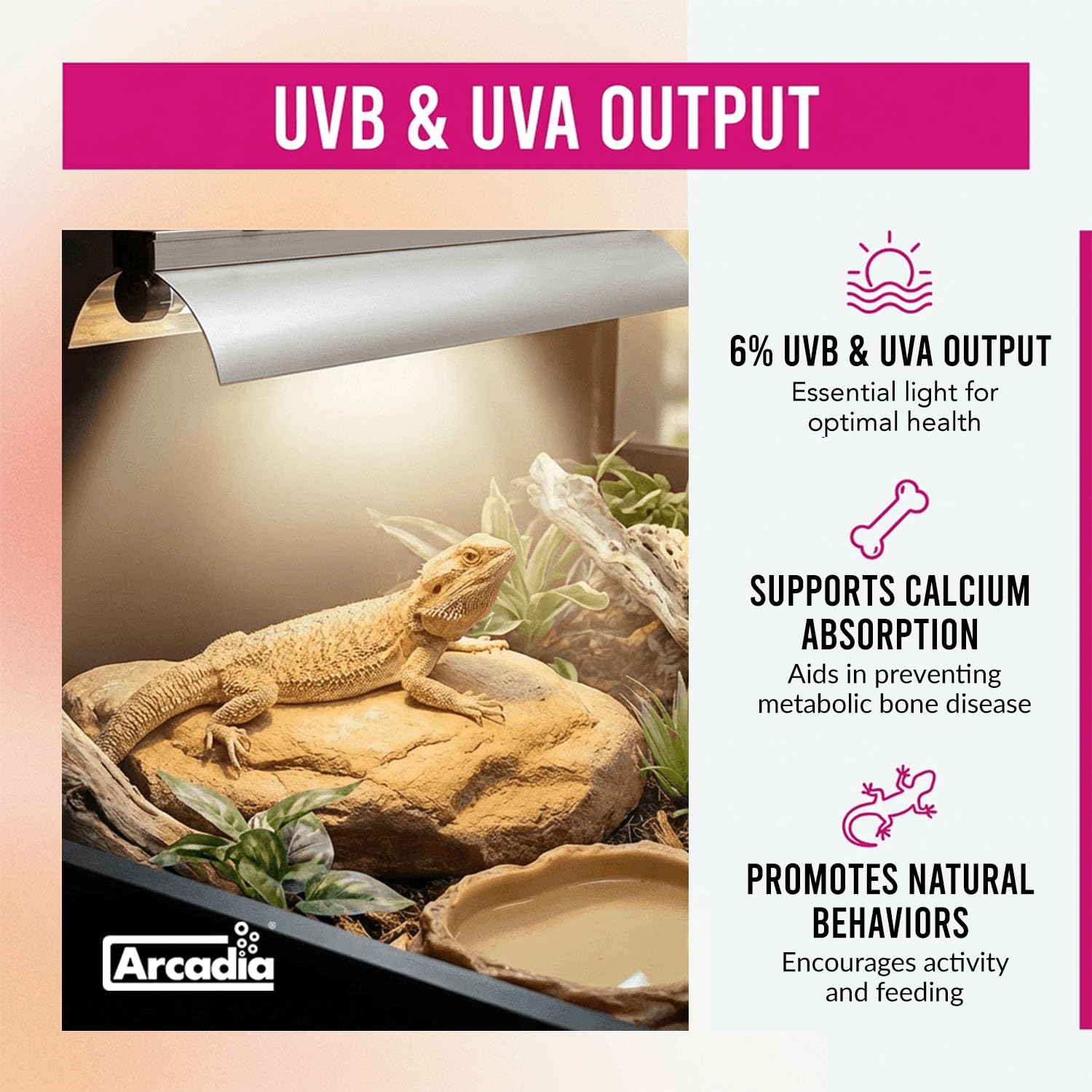 Arcadia T5 UVB system is energy efficient and can chain with multiple units.