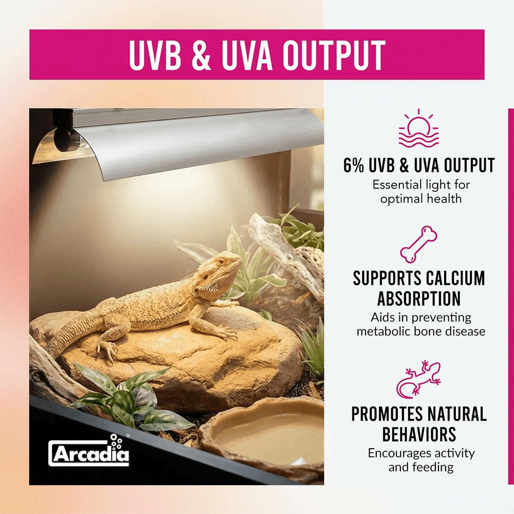 Arcadia T5 UVB system is energy efficient and can chain with multiple units.