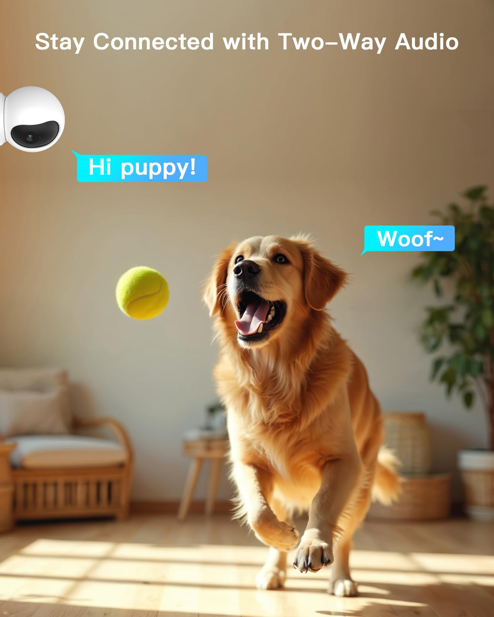 ARENTI 5G 4MP pet camera privacy mode protects live feed.