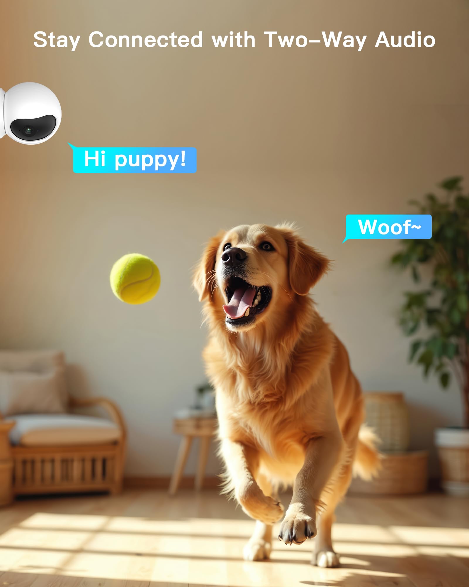 ARENTI web browser access pet camera lets you monitor from anywhere