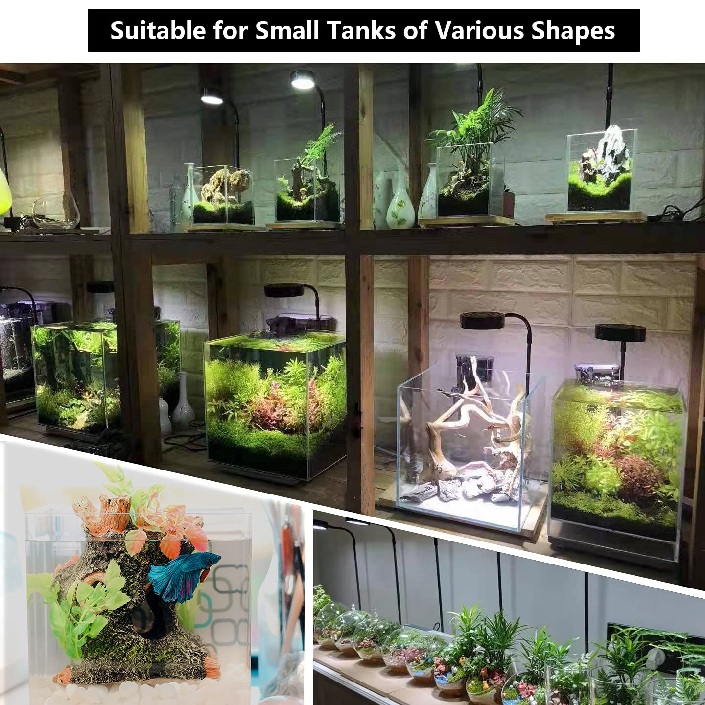 AREPK Aquarium Light bamboo board adds natural style and renewable support for eco setups.