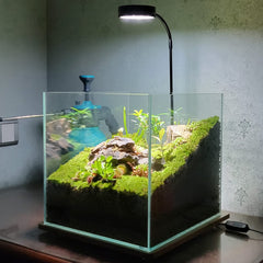 AREPK Aquarium Light USB powered enables versatile placement near desks or hubs.
