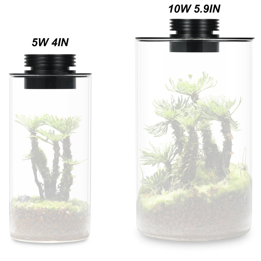 AREPK humidity control ring enabling adjustable moisture in terrariums.